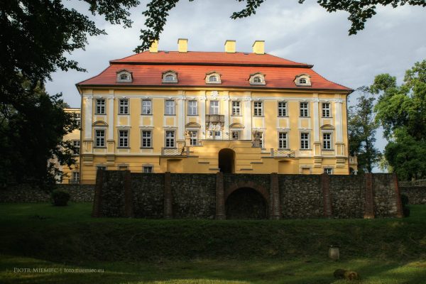 Pałac w Biedrzychowicach