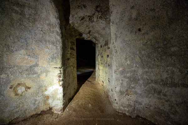 Podziemia zamku Świny