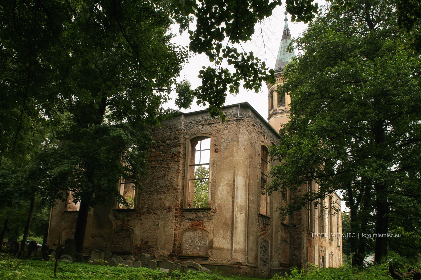 Miłków ruiny kościoła