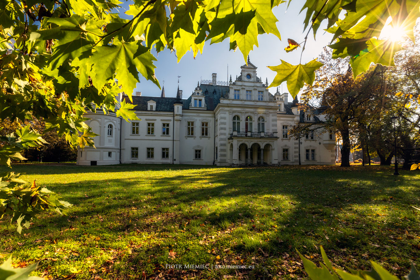 Pałac w Jelczu-Laskowicach