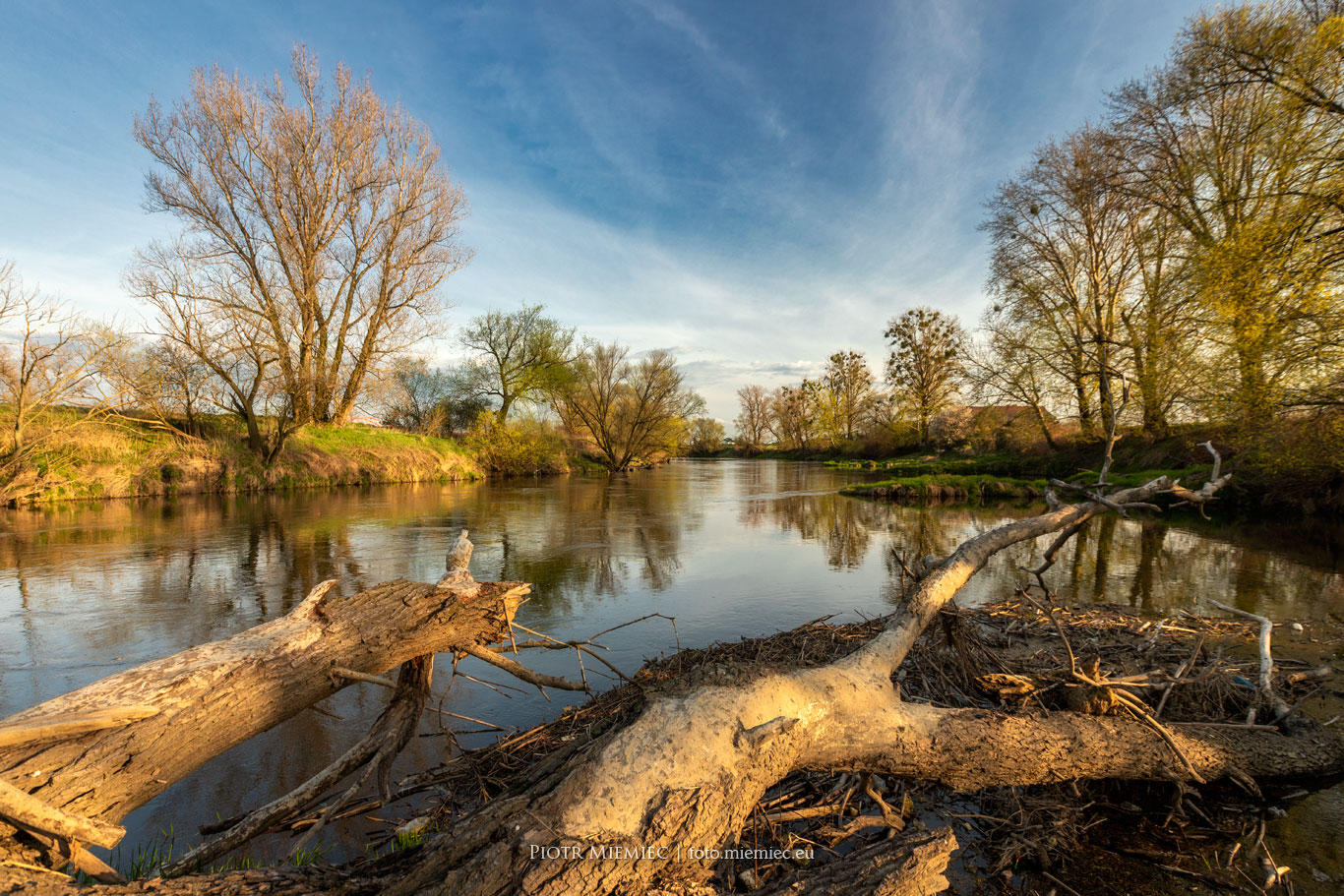 Rzeka Odra w kwietniu