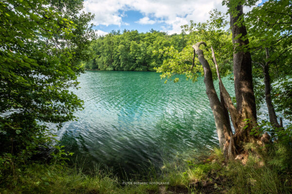 Jezioro Ciecz, prawdziwa perełka Pojezierza Lubuskiego