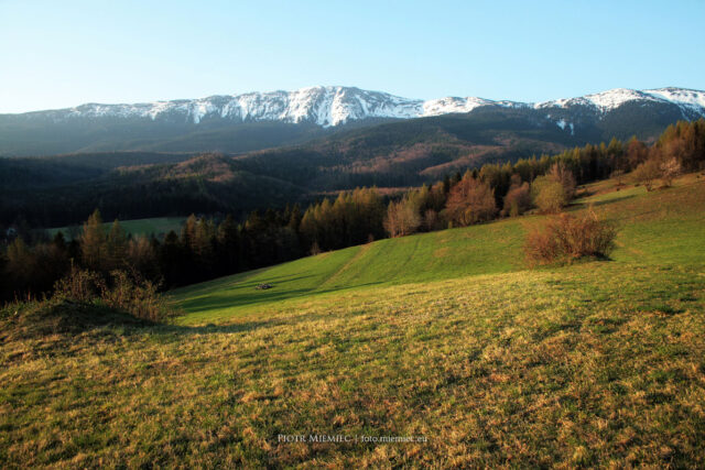 Babia Góra w obiektywie – kwiecień 2009