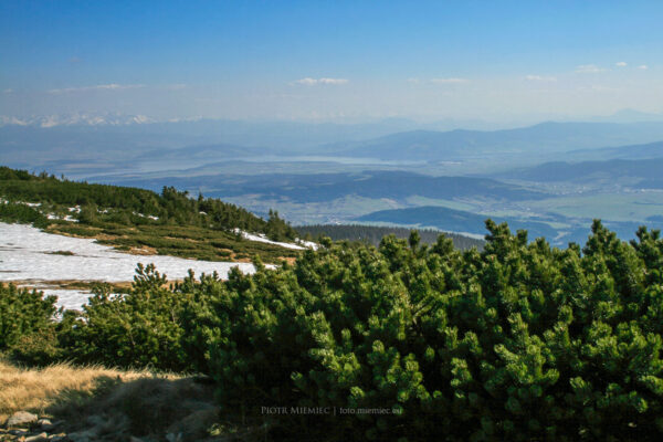 Widok z szczytu Babiej Góry w stronę Tatr