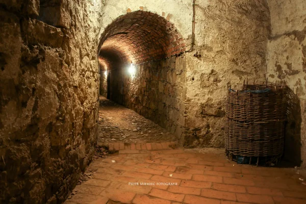 Oświetlenie dobrze podkreśla strukturę ceglanych murów