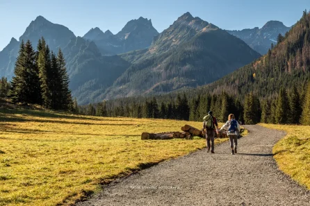Dolina Białej Wody / Bielovodská polana