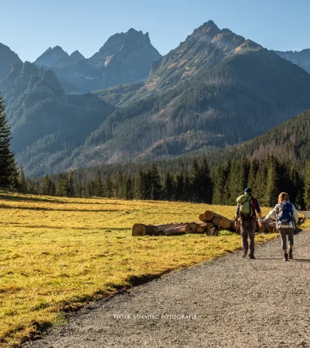 Dolina Białej Wody / Bielovodská polana