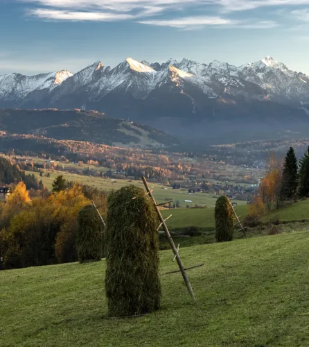 Tatry z punktu widokowego na Litwince